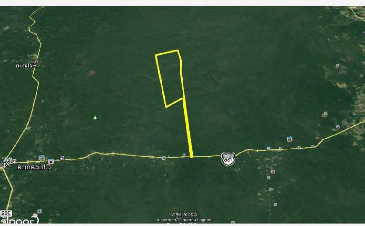 Studio à Campeche, Mexico No. 180163