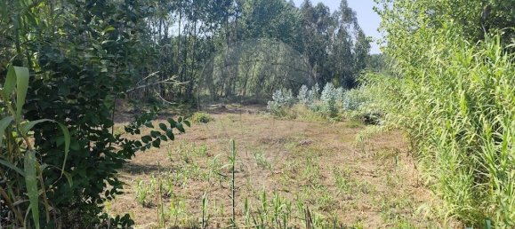 6400m² Land in Oia, Portugal No. 294241 2