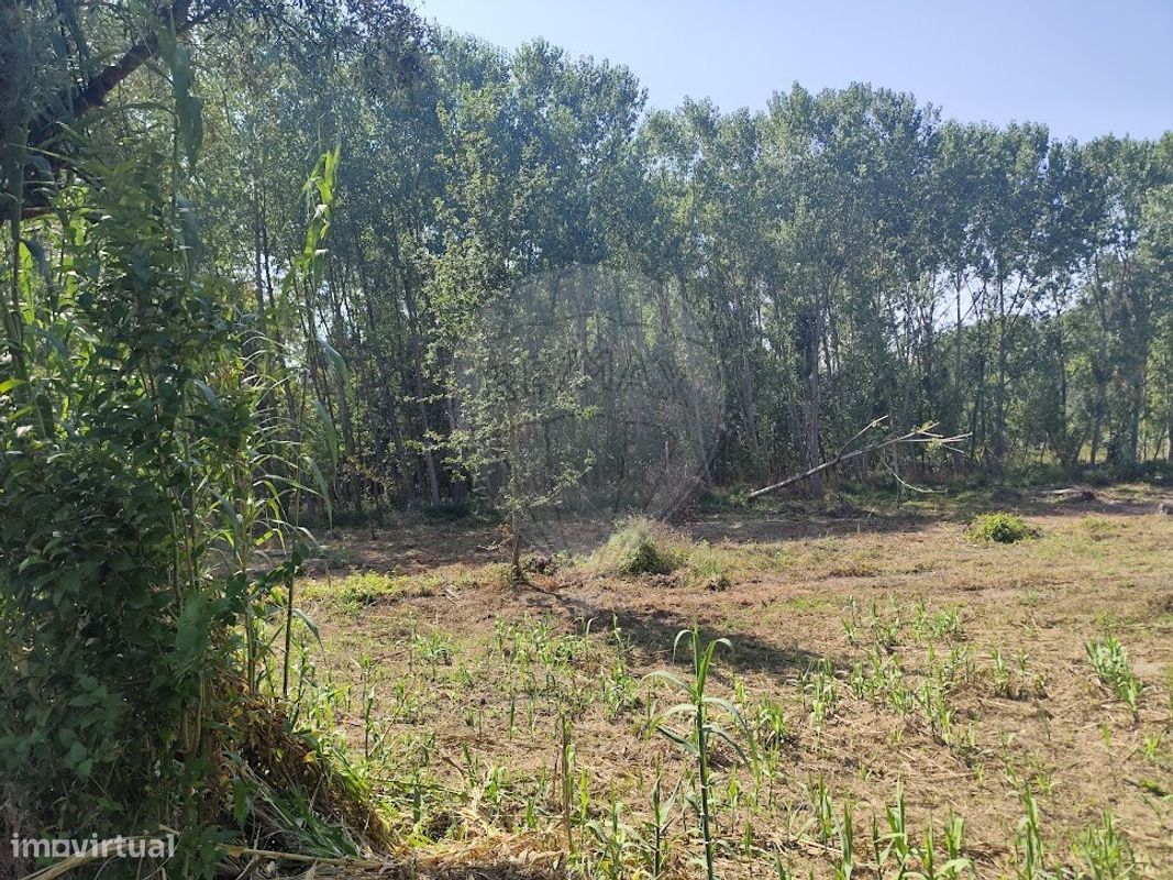 6400m² Land in Oia, Portugal No. 294241