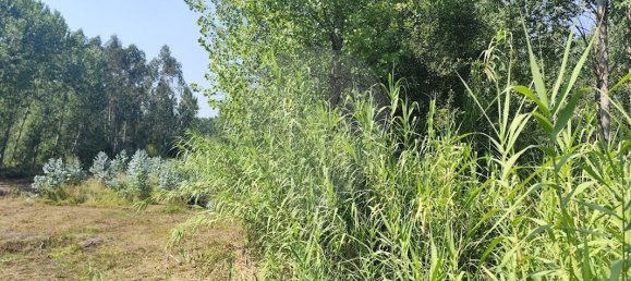 6400m² Land in Oia, Portugal No. 294241 3