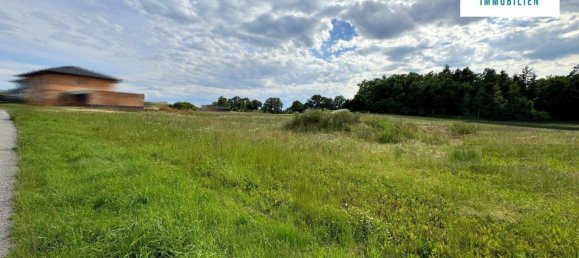  قطعة أرض في Karlstetten, Austria رقم 16268 3