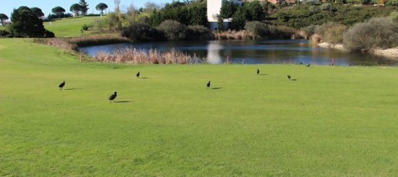 204m² Land in Sintra, Portugal No. 55706 10