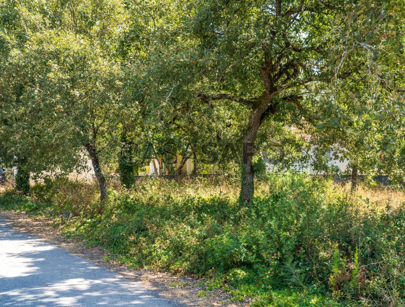 3240m² Land in Aljubarrota, Portugal No. 332331