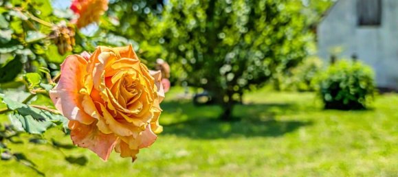 Terrain à Raaba-Grambach, Austria 109m² No. 131284 27