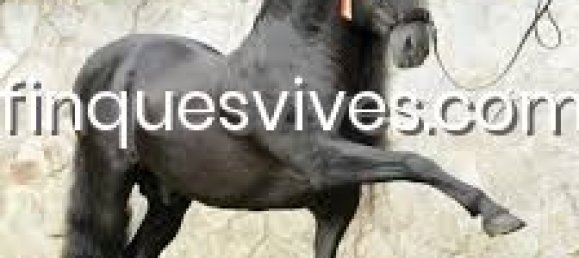 11 Schlafzimmer Haus in Sant Vicenc De Montalt, Spain, Nr. 23020 34