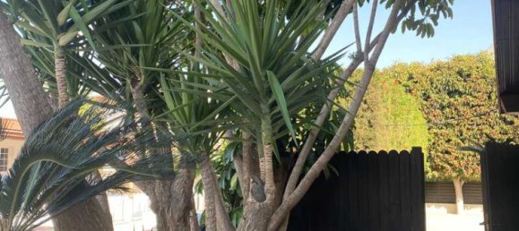 8 chambres Propriété commerciale à Limassol, Cyprus No. 18421 7