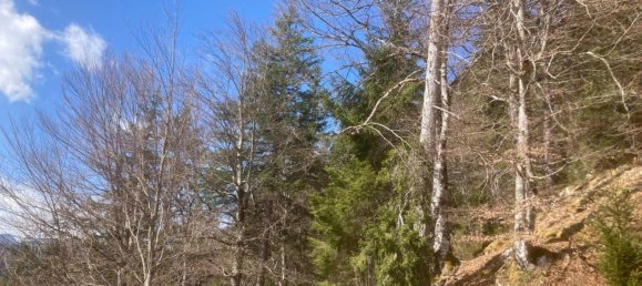 Propriété commerciale à Steinberg am Rofan, Austria No. 130628 3