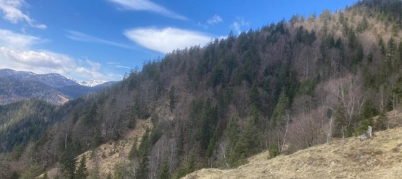 Propriété commerciale à Steinberg am Rofan, Austria No. 130628 2