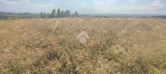 10745m² Land in Carezzano, Italy No. 273237 23