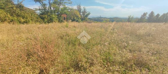 10745m² Land in Carezzano, Italy No. 273237 9