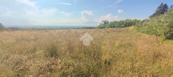 10745m² Land in Carezzano, Italy No. 273237 8