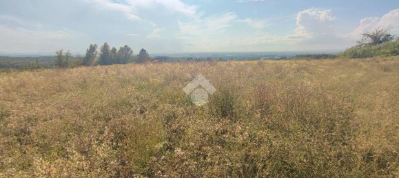 10745m² Land in Carezzano, Italy No. 273237 19