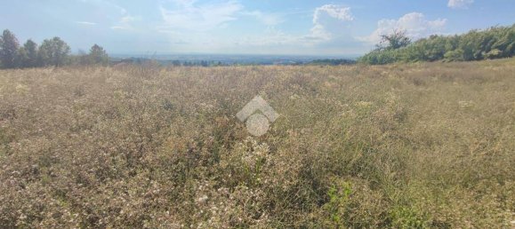 10745m² Land in Carezzano, Italy No. 273237 12