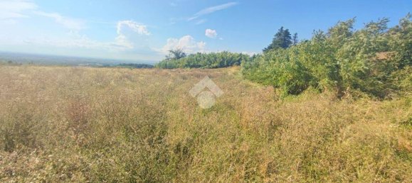 10745m² Land in Carezzano, Italy No. 273237 10