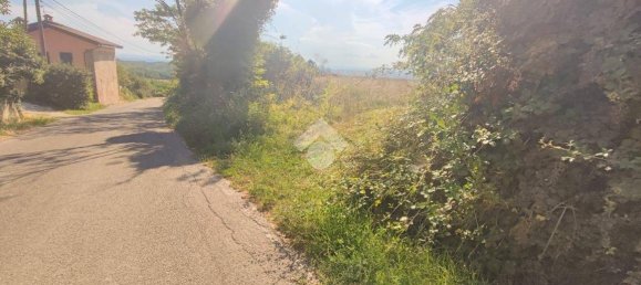 10745m² Land in Carezzano, Italy No. 273237 6