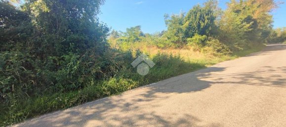 10745m² Land in Carezzano, Italy No. 273237 20