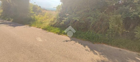 10745m² Land in Carezzano, Italy No. 273237 22