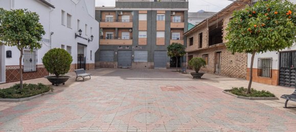 4 bedrooms House in Vegas del Genil, Spain No. 175191 9