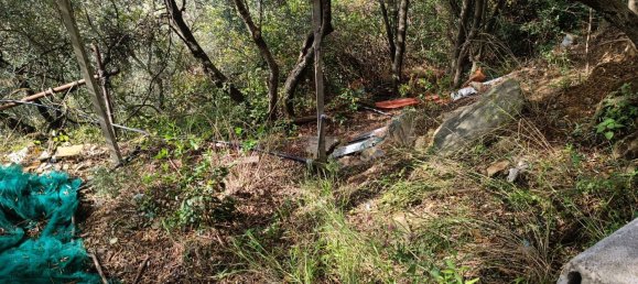 Studio in Monterosso al Mare, Italy No. 275618 17