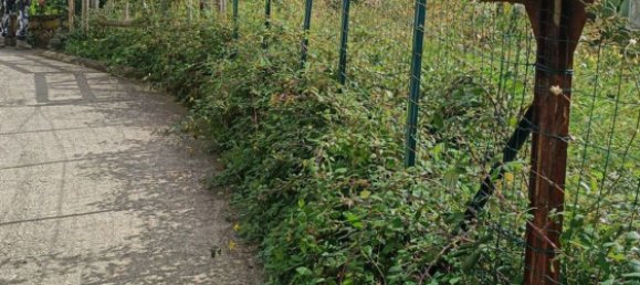 Studio in Monterosso al Mare, Italy No. 275618 7