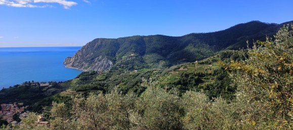 Studio in Monterosso al Mare, Italy No. 275618 3