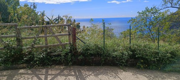 Studio in Monterosso al Mare, Italy No. 275618 4