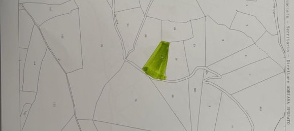 Studio in Monterosso al Mare, Italy No. 275618 24