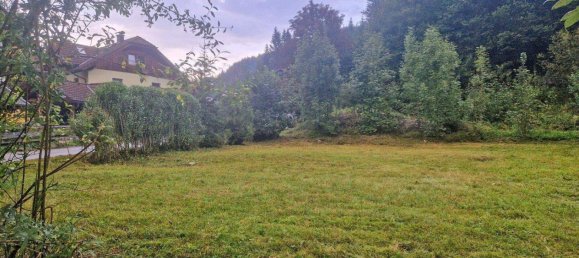 Land in Faistenau, Austria No. 246632 2