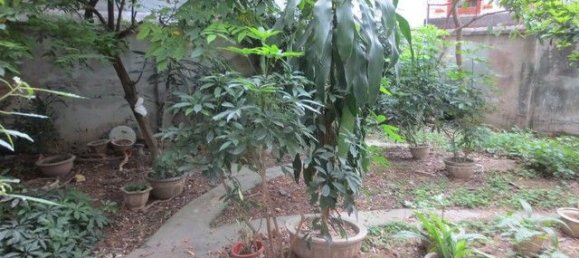 Casa de 3 dormitorios en Dong Da, Vietnam No. 5044 14