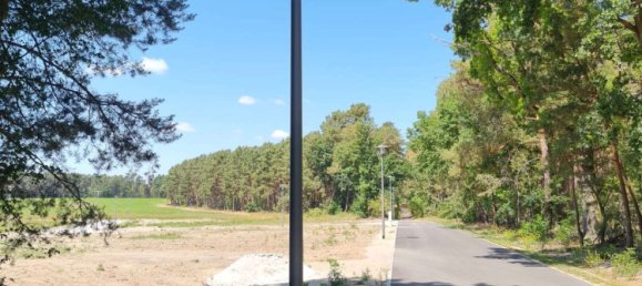  Land in Potsdam-Mittelmark, Germany No. 225890 5