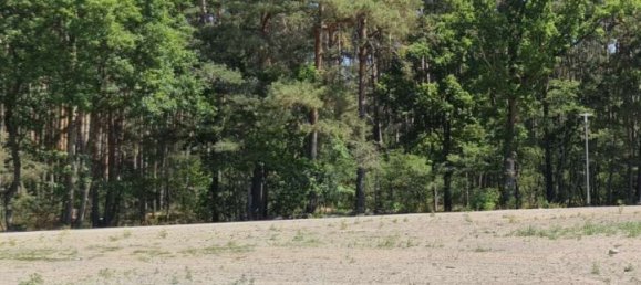  Land in Potsdam-Mittelmark, Germany No. 225890 3