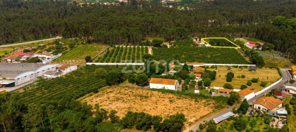 Terrain à Agueda, Portugal 2900m² No. 78821 12