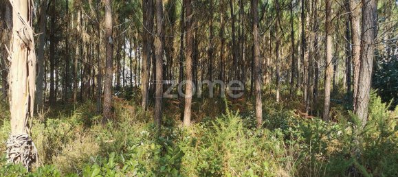 Terrain à Agueda, Portugal 2900m² No. 78821 3