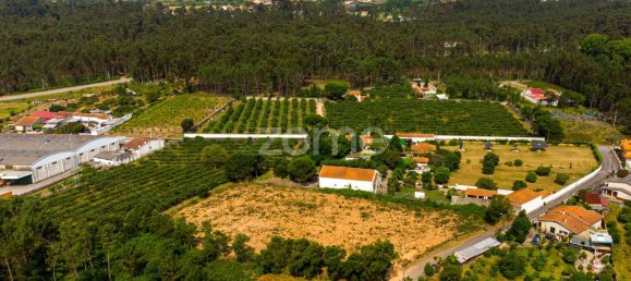 Terrain à Agueda, Portugal 2900m² No. 78821 13