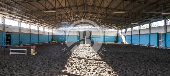 18 bedrooms House in Rosignano Marittimo, Italy No. 84051 13