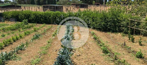 18 bedrooms House in Rosignano Marittimo, Italy No. 84051 16