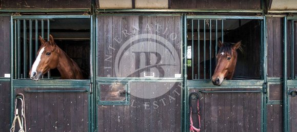 18 bedrooms House in Rosignano Marittimo, Italy No. 84051 15