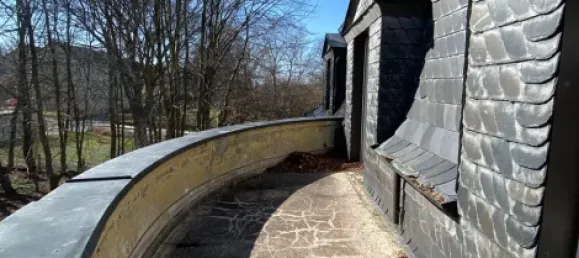 Villa de 10 dormitorios en Saale-Orla, Germany No. 185957 20