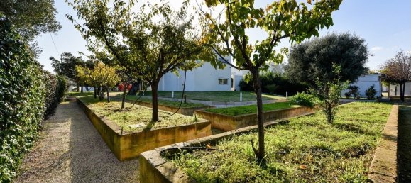 3 Schlafzimmer Villa in Monopoli, Italy, Nr. 58697 31