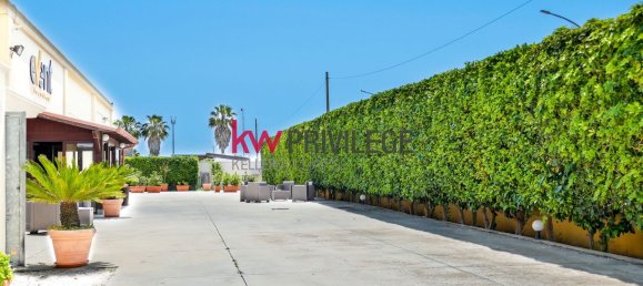 Propiedad comercial en Mesagne, Italy 738 m² No. 299477 2