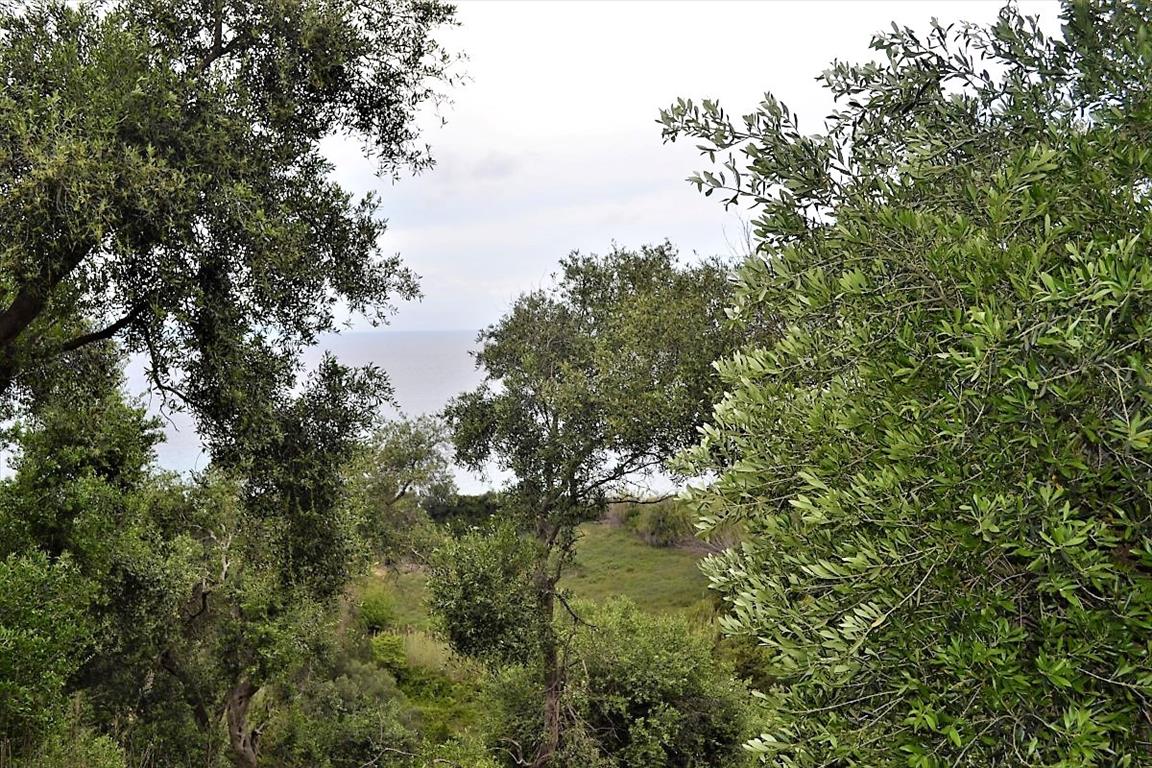 5000m² Hotel in Corfu, Greece No. 4957