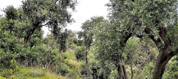 Hotel in Corfu, Greece 5000m², Nr. 4957 6