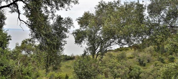 5000m² Hotel in Corfu, Greece No. 4957 7