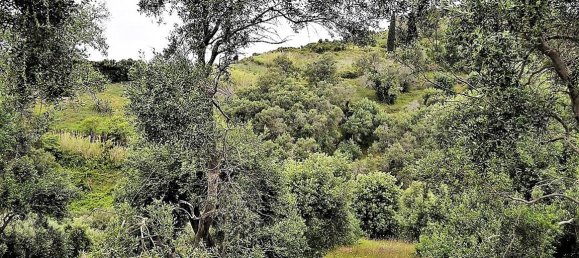 5000m² Hotel in Corfu, Greece No. 4957 4