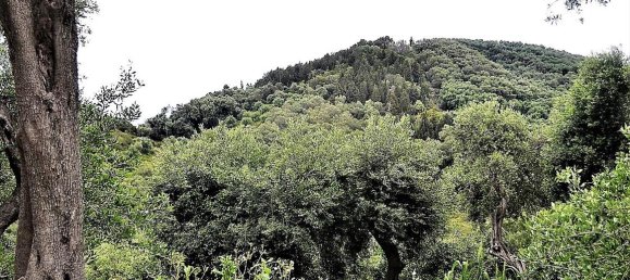 Hotel in Corfu, Greece 5000m², Nr. 4957 5