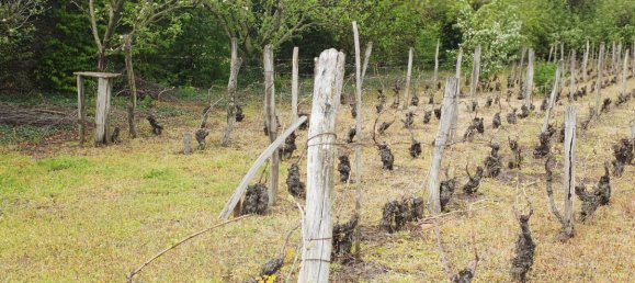 Grundstück in Puy-de-Dome, France, Nr. 319104 8