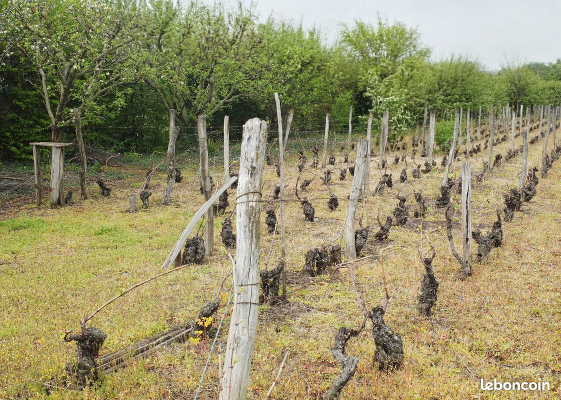 Grundstück in Puy-de-Dome, France, Nr. 319104