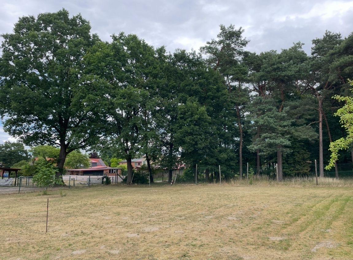  قطعة أرض في Uelzen, Germany رقم 296432