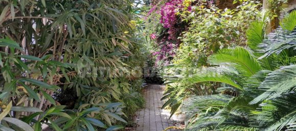 3 bedrooms Apartment in Chiavari, Italy No. 297624 10