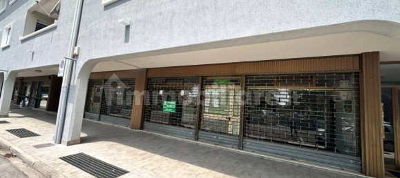 2 rooms Commercial property in Udine, Italy No. 302230 2